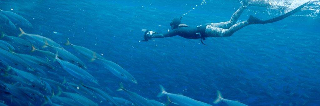 Freediving Azoren