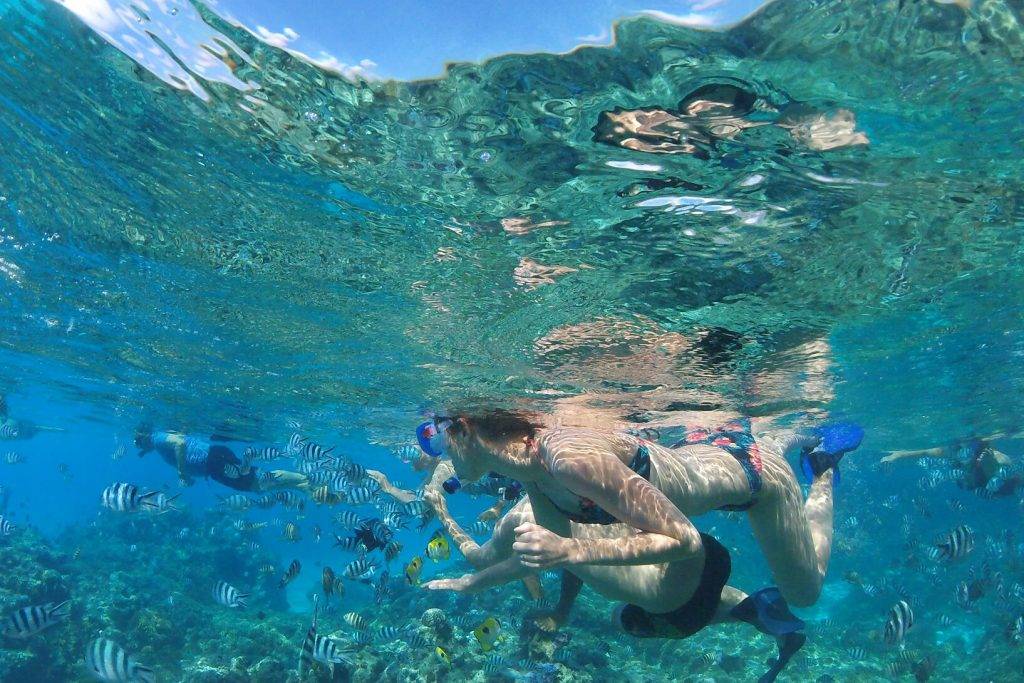 Tauchreisen Bora Bora | Im Korallengarten der Lagune von Bora Bora