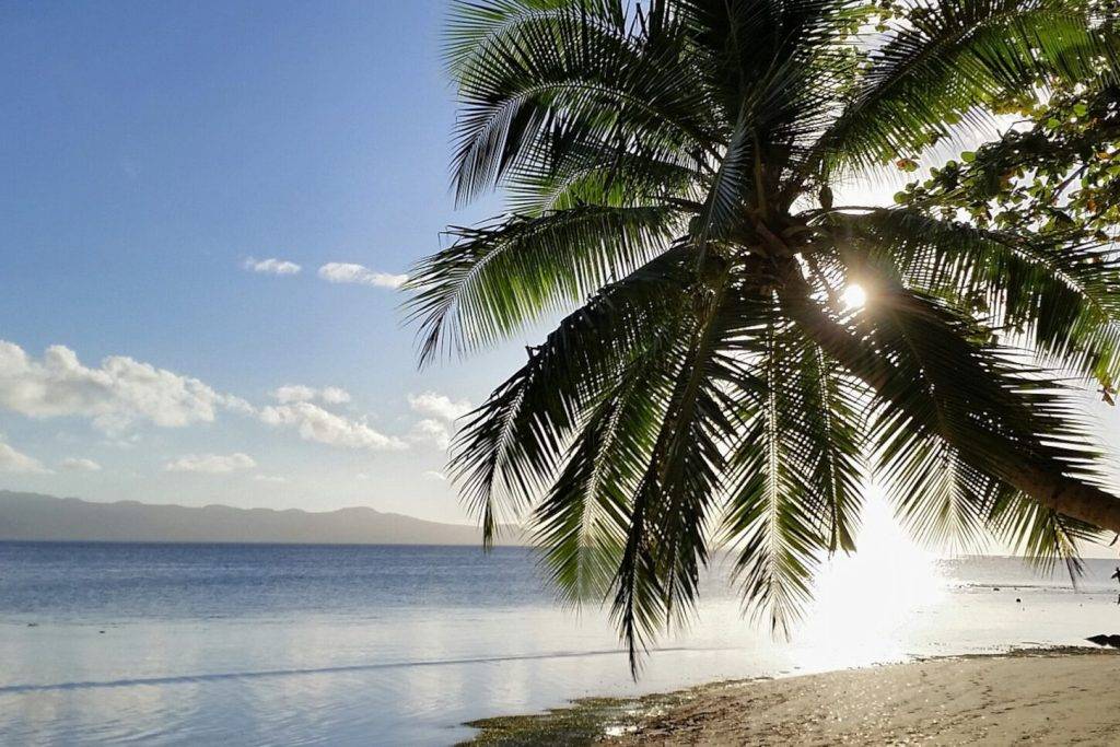 Tauchreisen Fiji | Tourmare Flaschenpost