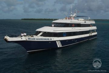 Medhufushi Island Resort Tauchbasis Werner Lau