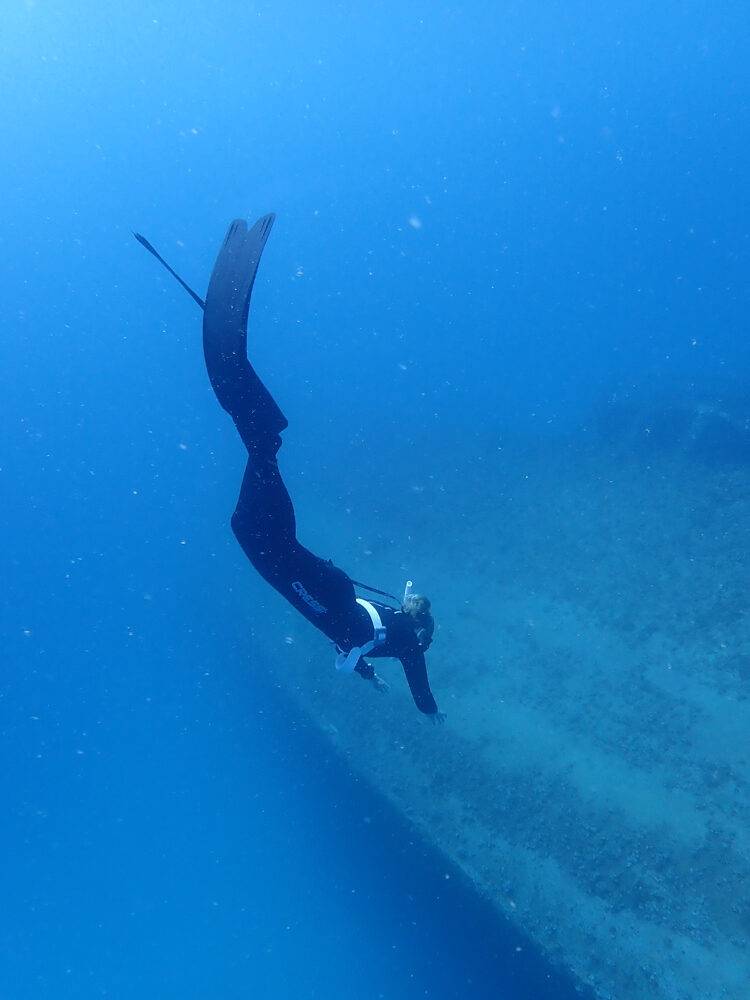 ORCA Tauchen Unterwasser