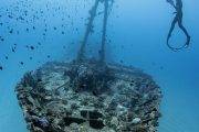 Tauchreise Rotes Meer/Ägypten | ORCA Dive Club Soma Bay | Schnapperschwarm über Schiffswrack der D'Jabeda