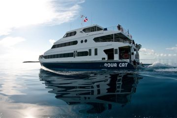 Buddy Dive Bonaire