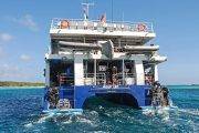 Tauchsafari Bahamas | Tauchschiff Aqua Cat | Plattform