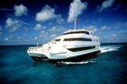 Tauchsafari Bahamas | Tauchschiff Aqua Cat