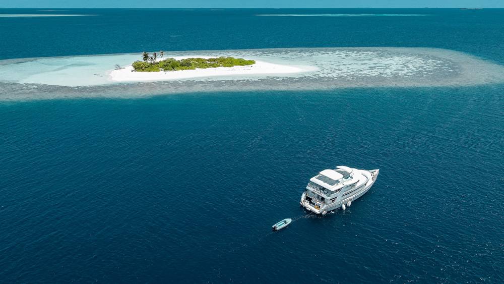 Tauchsafari Malediven | Amba Tauchschiff