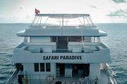 Tauchsafari Malediven | Amba Tauchschiff | Safari Paradive
