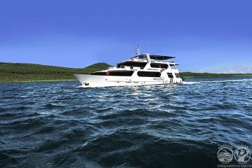 Tauchsafari Cocos Island Okeanos Aggressor Ii