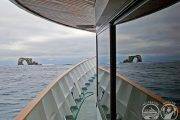 Tauchsafari Galapagos Inseln | Aggressor 3 Tauchschiff