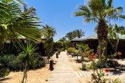 Tauchreise Rotes Meer (Marsa Alam) | Abu Dabbab Diving  Lodge | Tropische Gartenanlage