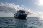 Tauchsafari Bahamas | Bahamas Master Tauchschiff