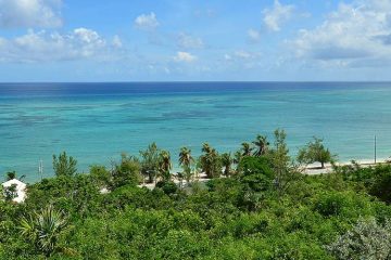 Nassau Atlantis Coral