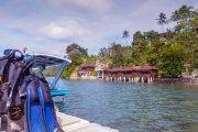 Sulawesi | Bastianos Froggies Lembeh