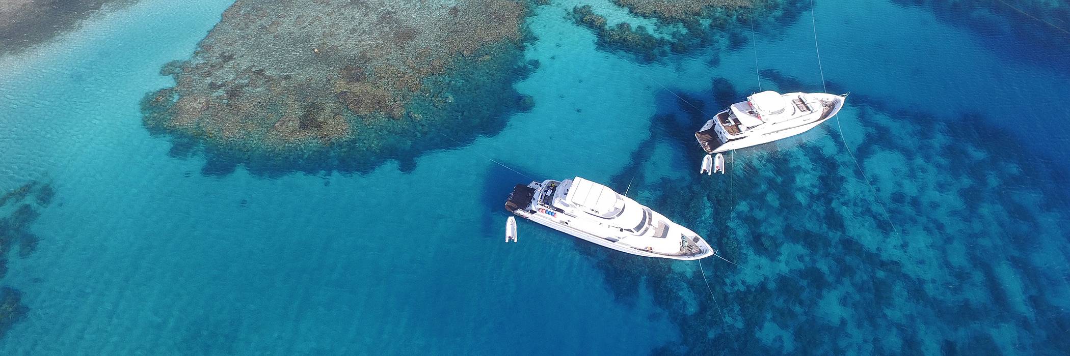 Tauchsafari Rotes Meer Blue Seas