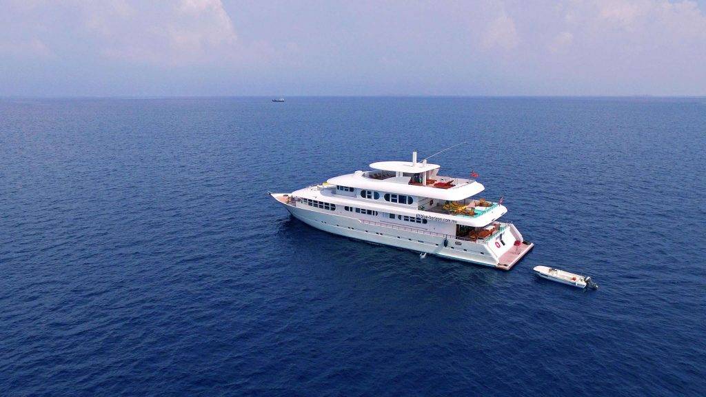 Tauchsafari Malediven | Horizon 3 Tauchschiff