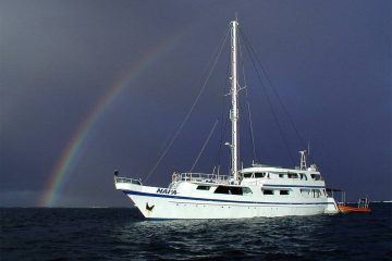 Tauchsafari Belize Aggressor Iv