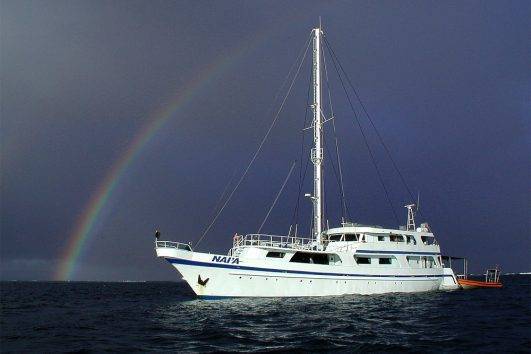 Tauchsafari Palau Ocean Hunter Iii