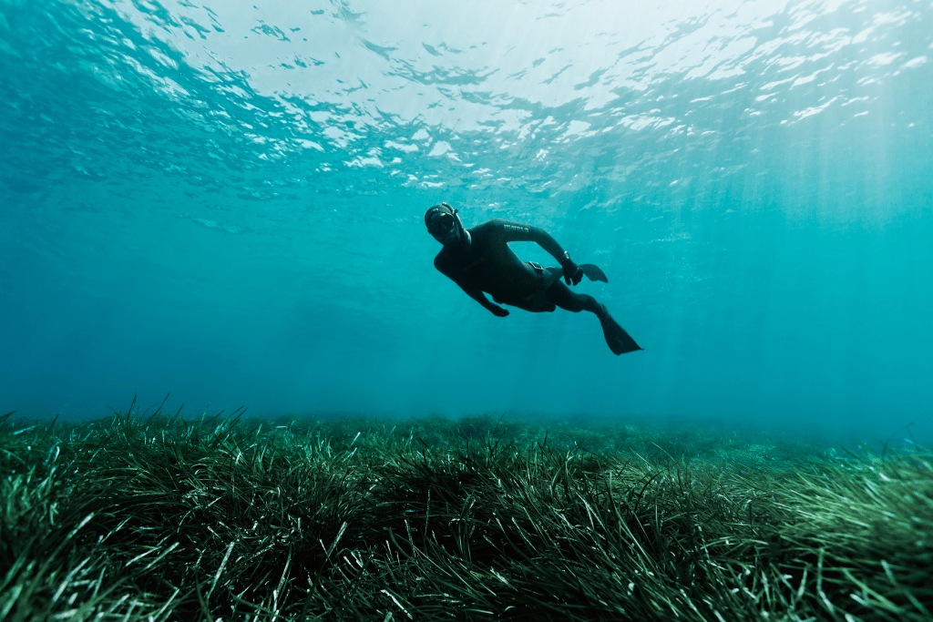 Freediving Soma Bay | The Breakers | Orca Tauchbasis & Freediving