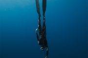 Freediving Rotes Meer | Soma Bay Orca