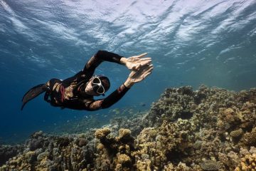 Freediving Soma Bay Orca