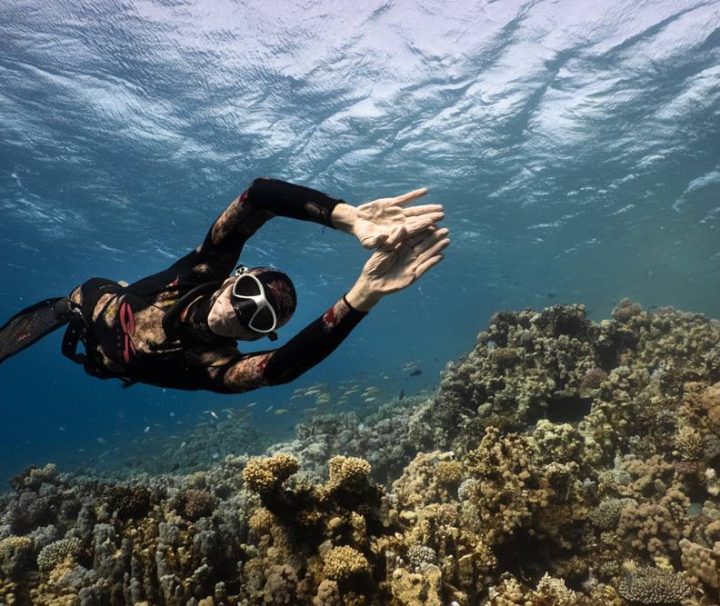 Freediving Soma Bay Orca