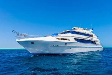 Tauchsafari Rotes Meer (Ägypten) | Golden Dolphin 3 | Panoramaansicht