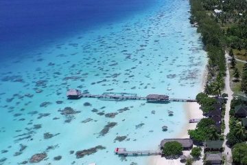 Tauchen Fakarava | Havaiki Lodge