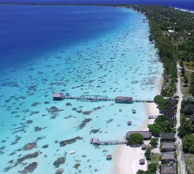 Tauchen Fakarava | Havaiki Lodge