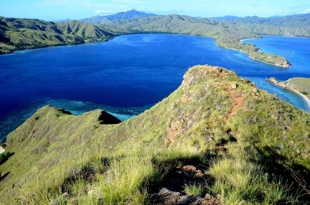 Indonesien Komodo Klein