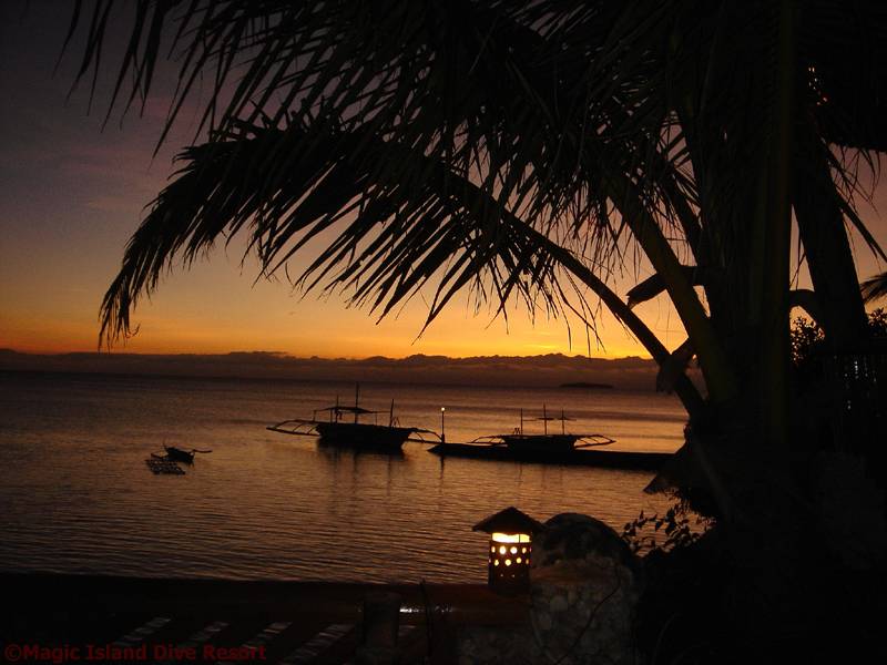 Tauchreise Philippinen |Cebu (Philippinen) | Magic Island Dive Resort | Sonnenuntergang
