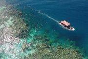 Tauchreise Wanyan Beach (Mikronesien) | Manta Ray Bay Resort & Yap Divers | Deluxe Ocean View Room