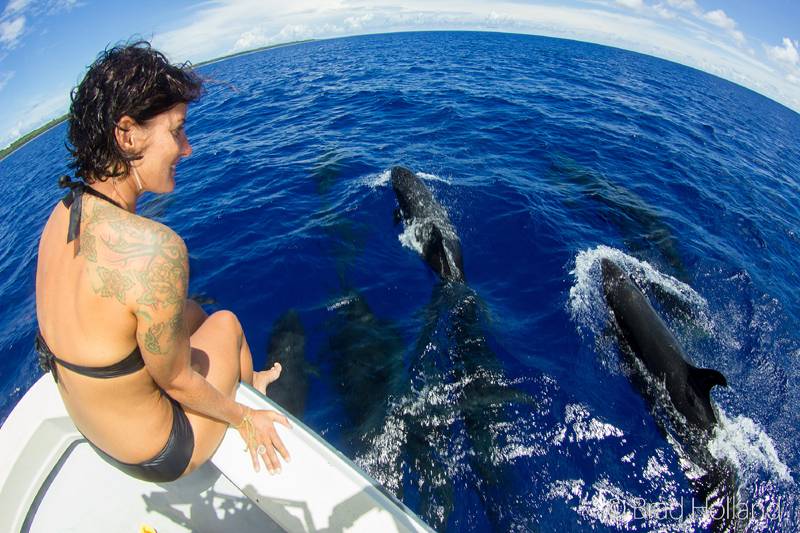 Tauchreise Wanyan Beach (Mikronesien) | Manta Ray Bay Resort & Yap Divers | Tauchen mit Delfinen