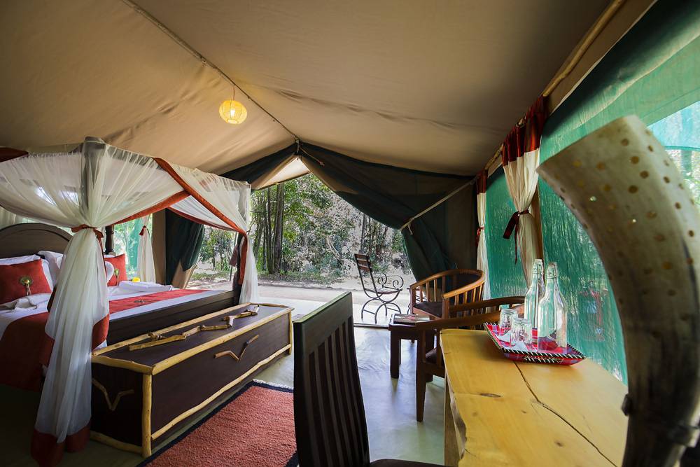 Tauchreise Kenia | Mara Legends Safari Camp (Nairobi) | Safari-Doppelbettzelt