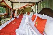 Tauchreise Kenia | Mara Legends Safari Camp (Nairobi) | Safari-Twinbettzelt