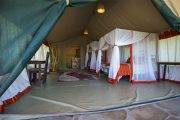 Tauchreise Kenia (Talek) | Mara Big Five Camp | Vierbett-Lodge