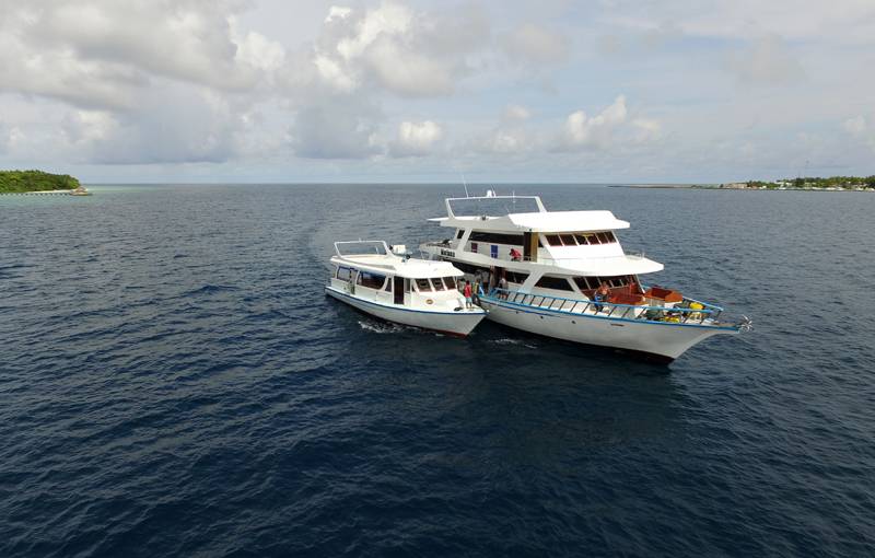 Tauchsafari Malediven | Mariana Tauchschiff | Mit Beiboot