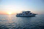 Tauchsafari Malediven | Mariana Tauchschiff