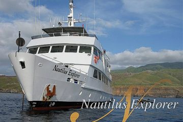 Tauchsafari Mexiko | Nautilus Explorer Tauchschiff