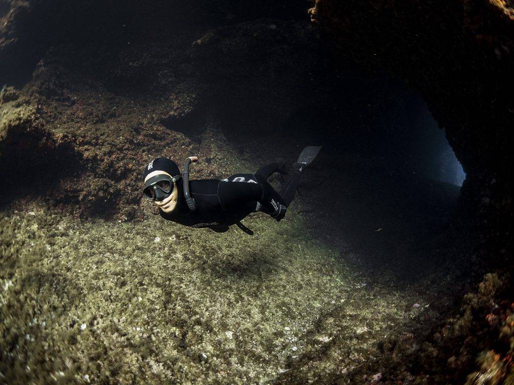 Freedive Menorca | Unterwasserwelt