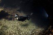 Freedive Menorca | Unterwasserwelt