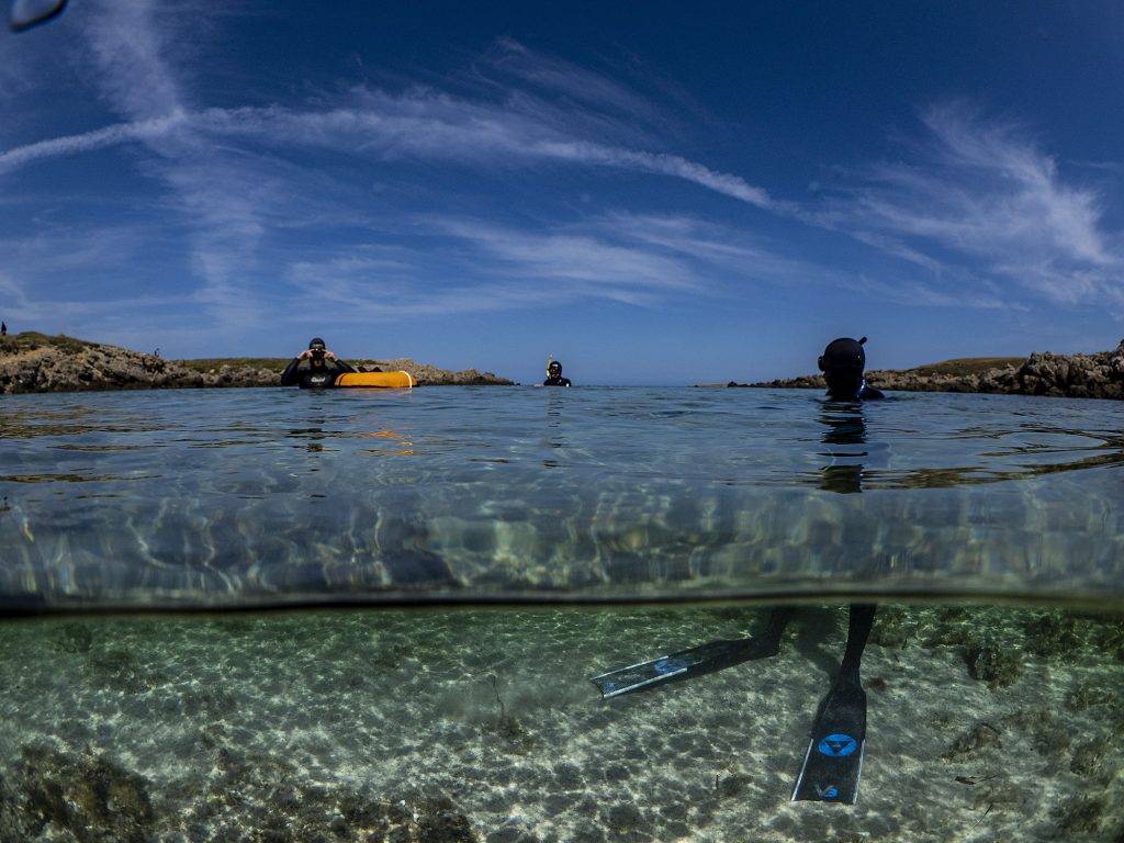 Freedive Menorca