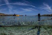 Freedive Menorca