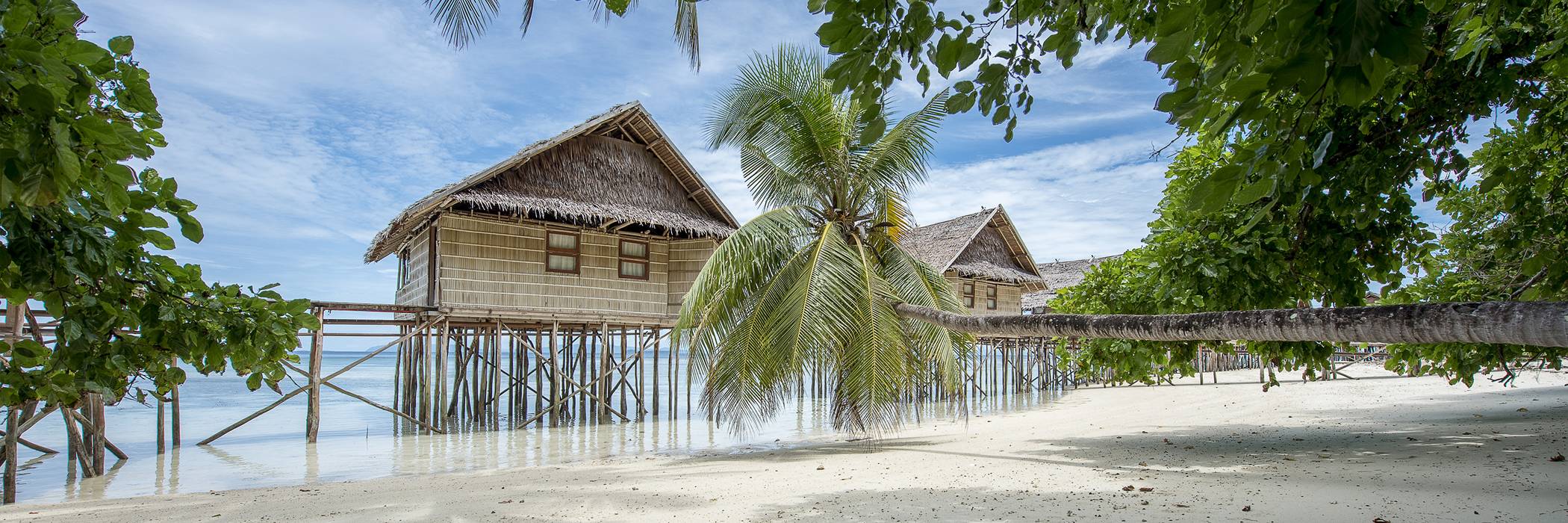 Raja Ampat • Papua Paradise Eco Resort
