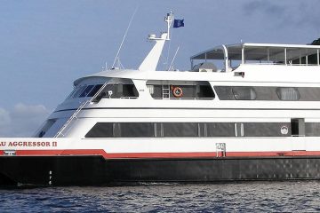 Tauchsafari Mexiko Solmar V