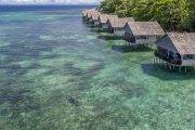 Papua Paradise Eco Resort | Raja Ampat