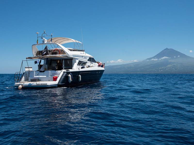 Tauchreisen Pico/Azoren | Narobla – ProWin ProNature Explorer Tauchschiff | Zwischen Horta und Pico