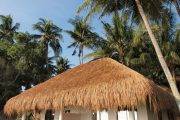 Tauchreise Philippinen (Dauin) | Pura Vida Beach & Dive Resort | Deluxe-ZImmer mit Twinbeds