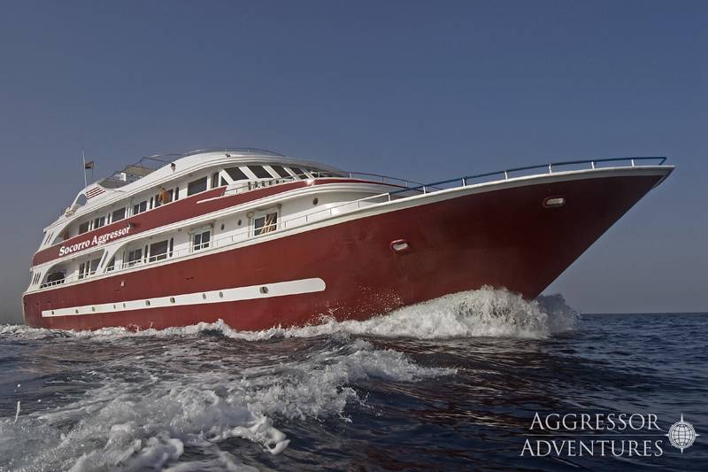 Tauchsafari Mexiko | Socorro Aggressor Tauchschiff | Guadaloupe und Socorro-Inseln