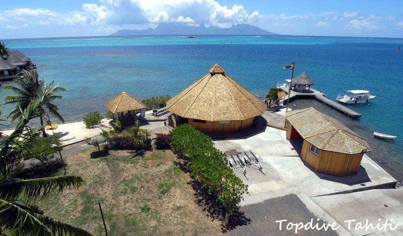 Tauchreise Frz. Polynesien (Rangiroa) | Top Dive Tauchbasis Tahiti