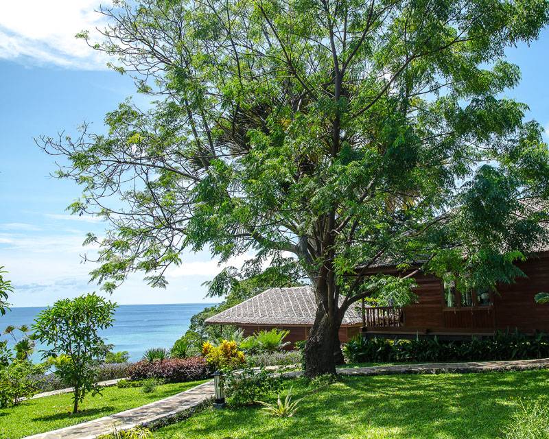 Tauchreise Sulawesi (Indonesien) | Bunaken Oasis Dive Resort and Spa | Tropische Gartenanlage